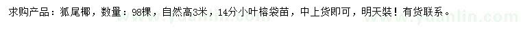 求購高3米狐尾椰
