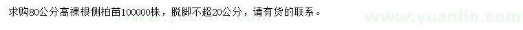 求購高80公分側柏