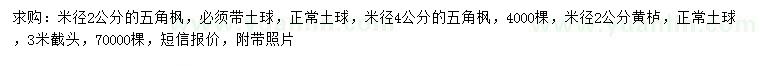 求購米徑2公分五角楓