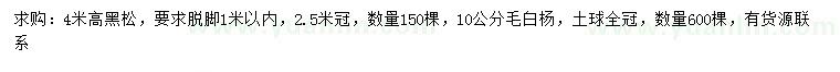 求購高4米黑松