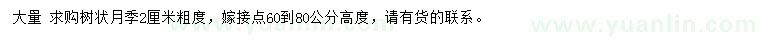 求購(gòu)2公分樹(shù)狀月季