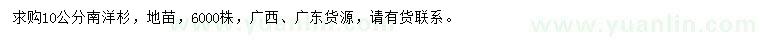 求購(gòu)10公分南洋杉