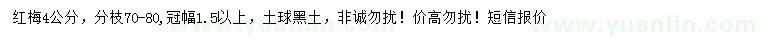 求購4公分紅梅