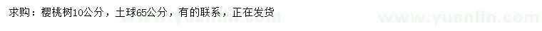 求購10公分櫻桃樹