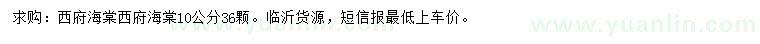 求購10公分西府海棠