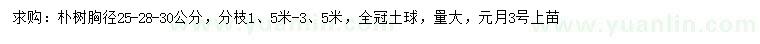 求購胸徑25-28-30公分樸樹