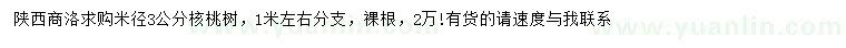 求購米徑3公分核桃樹(shù)