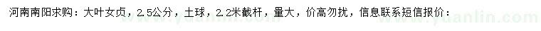 求購2.5公分大葉女貞