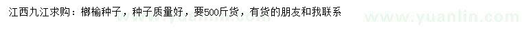 求購(gòu)榔榆種子