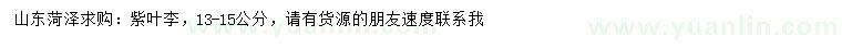 求購13-15公分紫葉李