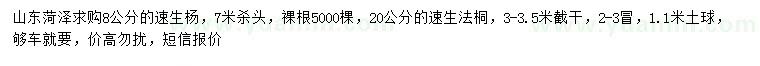 求購8公分速生楊、20公分的速生法桐