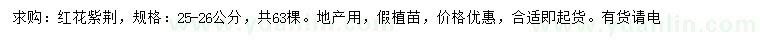 求購25-26公分紅花紫荊