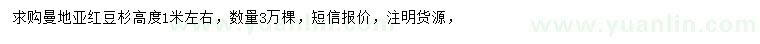 求購高1米左右曼地亞紅豆杉