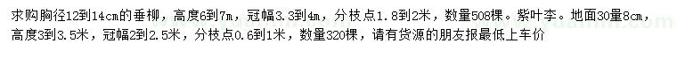 求購胸徑12-14公分垂柳、30量8公分紫葉李