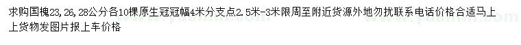 求購23、26、28公分原生國槐