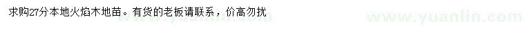 求購27公分火焰木