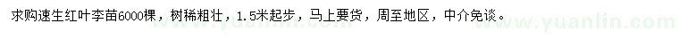 求購(gòu)1.5米以上速生紅葉李