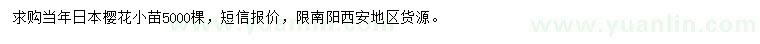 求購當年櫻花小苗