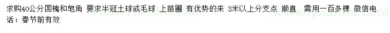 求購40公分國槐、皂角