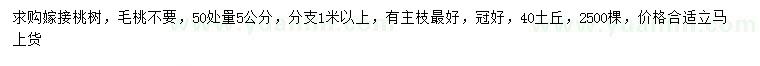求購50量5公分桐柏桃樹