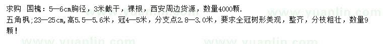 求購胸徑5-6公分國槐、23-25公分五角楓