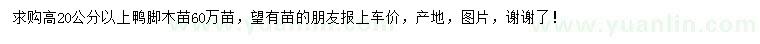 求購高20公分以上鴨腳木