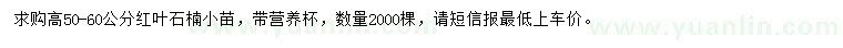 求購高50-60公分紅葉石楠