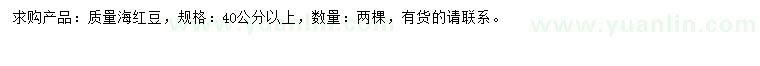 求購40公分以上海紅豆