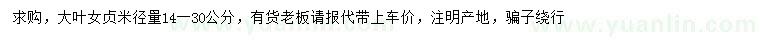 求購米徑14-30公分大葉女貞