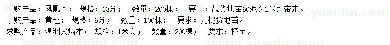 求購(gòu)鳳凰木、黃槿、澳洲火焰木