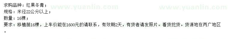 求購米徑22公分以上紅果冬青