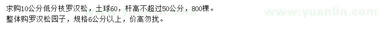 求購6公分以上、10公分羅漢松