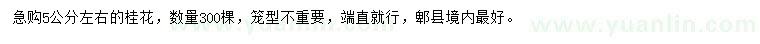 求購(gòu)5公分桂花