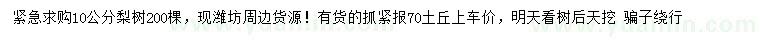 求購10公分梨樹