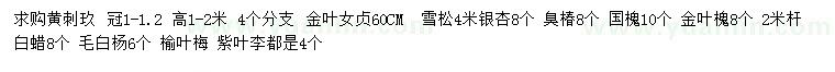 求購黃刺玖、金葉女貞、雪松等