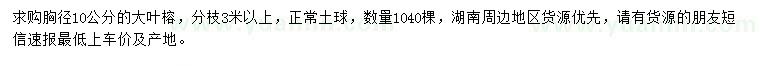 求購(gòu)胸徑10公分大葉榕