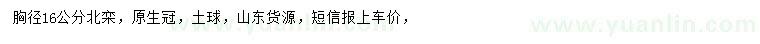 求購16公分原生北欒