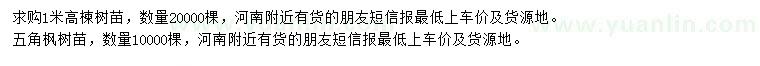 求購(gòu)高1米楝樹(shù)、五角楓