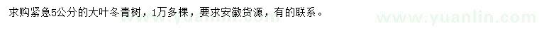 求購5公分大葉冬青