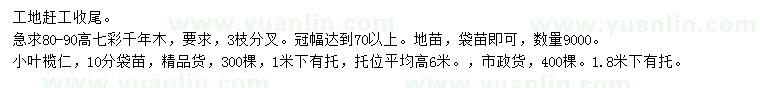 求購10公分小葉欖仁、高80-90公分七彩千年木