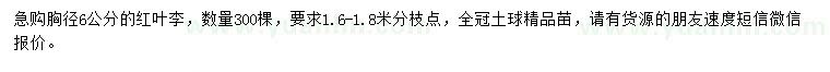 求購胸徑6公分紅葉李