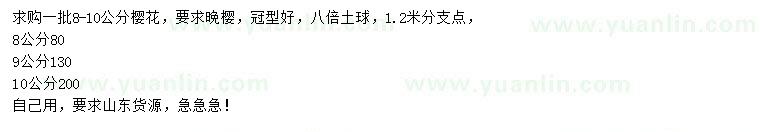 求購8-10公分櫻花