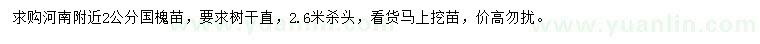 求購2公分國槐