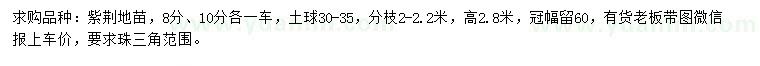 求購8、10公分紫荊