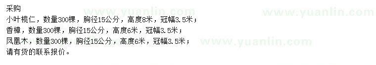 求購(gòu)小葉欖仁、香樟、鳳凰木