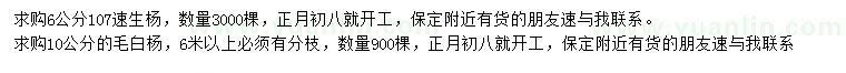 求購6公分107速生楊、10公分毛白楊