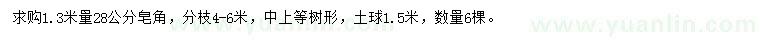 求購1.3米量28公分皂角