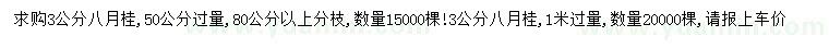 求購50公分量3公分八月桂