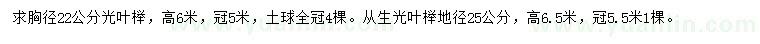 求購(gòu)胸徑22公分光葉櫸