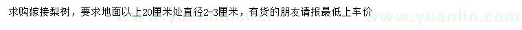 求購20公分量2-3公分嫁接梨樹